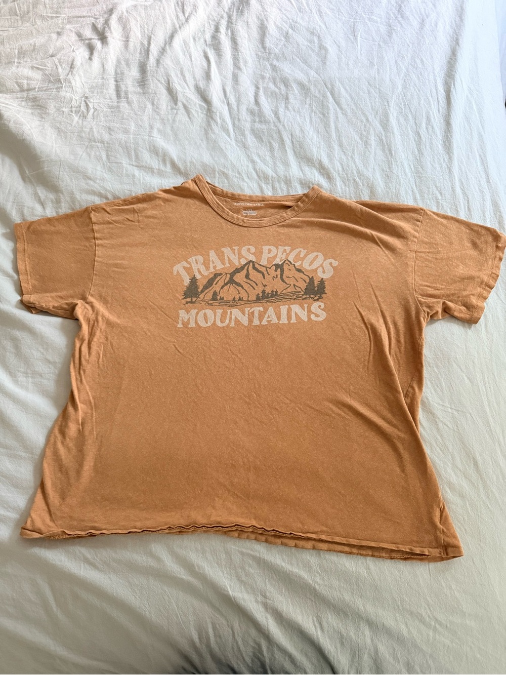 American Eagle Trans Pecos Mountains Camel Color Graphic Tee - Womens Sz L
